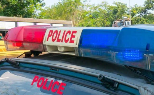 Police seek Red Notice against blast accused